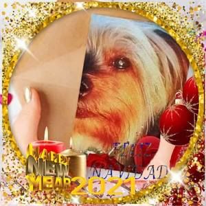 Meet your Posher, Vicky